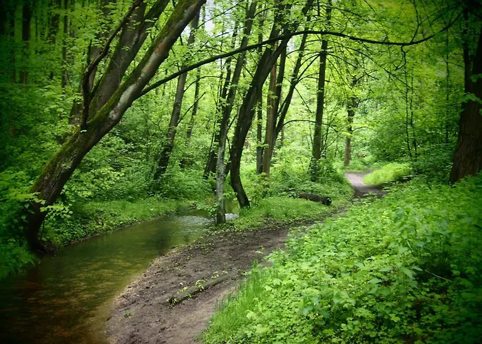 Apartman Na Uboczu, Z Tarasem